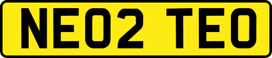 NE02TEO