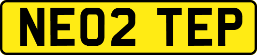 NE02TEP