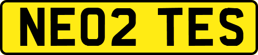 NE02TES