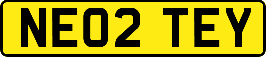 NE02TEY
