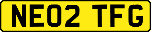 NE02TFG