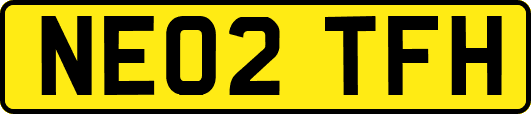 NE02TFH