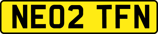 NE02TFN