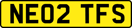 NE02TFS