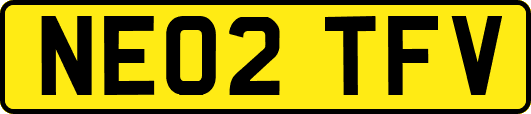 NE02TFV
