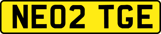 NE02TGE