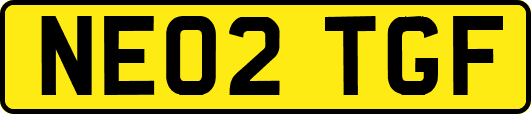 NE02TGF