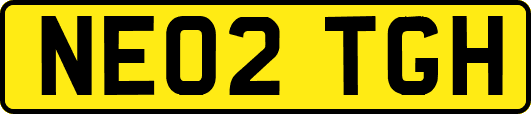 NE02TGH