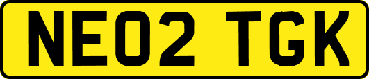 NE02TGK