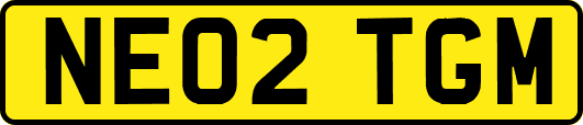 NE02TGM