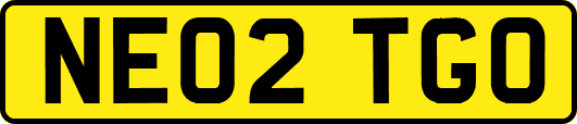 NE02TGO