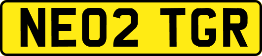 NE02TGR