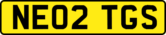 NE02TGS
