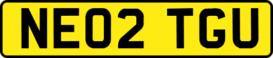NE02TGU