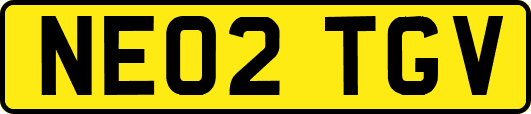 NE02TGV