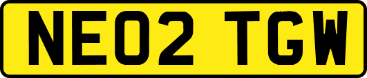 NE02TGW