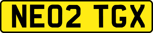 NE02TGX