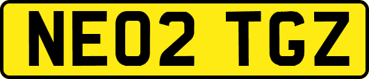 NE02TGZ