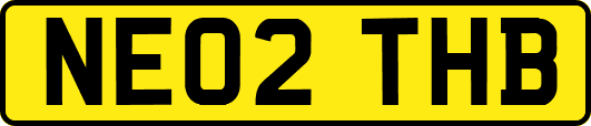 NE02THB