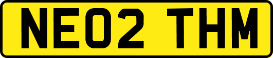 NE02THM