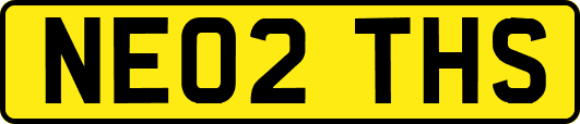 NE02THS