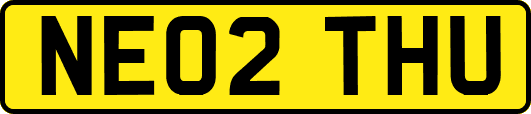 NE02THU
