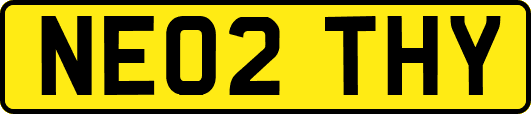NE02THY
