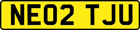 NE02TJU