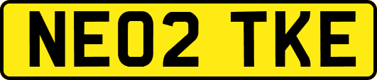 NE02TKE