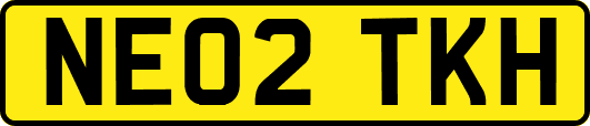 NE02TKH