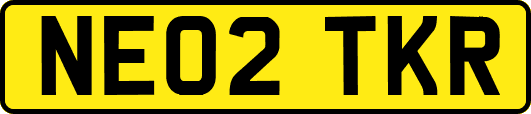 NE02TKR