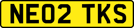 NE02TKS