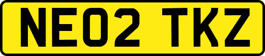 NE02TKZ