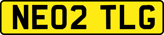 NE02TLG