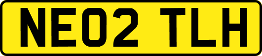 NE02TLH
