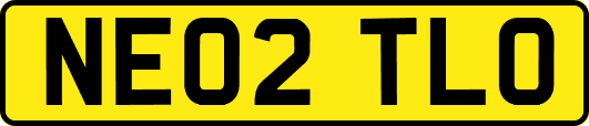 NE02TLO