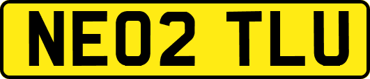 NE02TLU