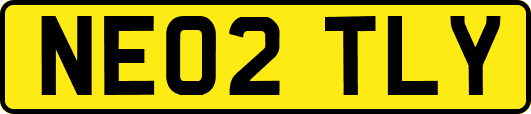 NE02TLY