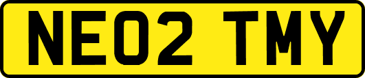 NE02TMY