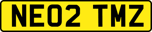NE02TMZ