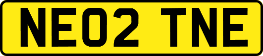 NE02TNE
