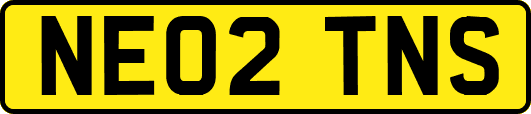 NE02TNS
