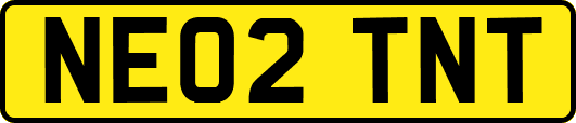 NE02TNT