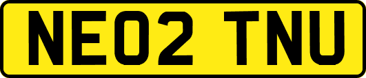 NE02TNU