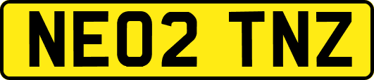 NE02TNZ