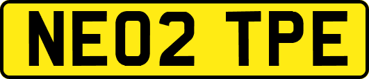 NE02TPE