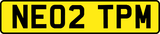 NE02TPM