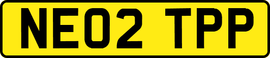NE02TPP