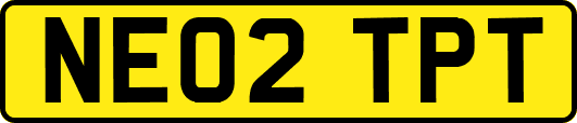 NE02TPT