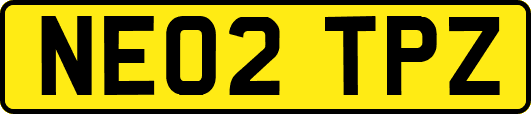 NE02TPZ